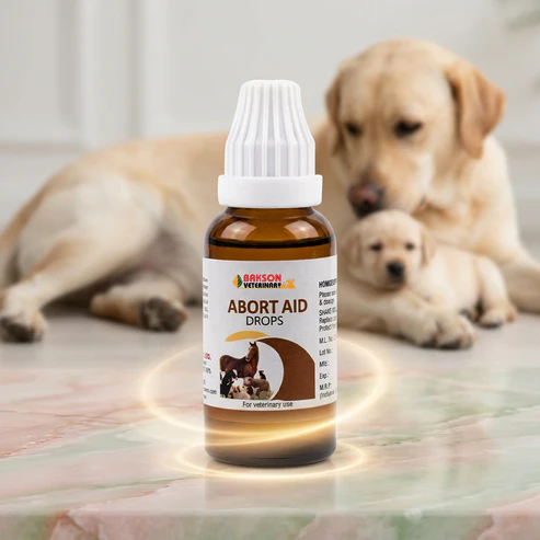 Abort-AidDrops_New Abort-Aid Drops For Dogs & Livestock – Threatened Miscarriage, Reproductive Health & Pregnancy Support - Image 1