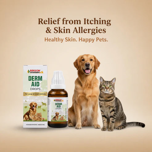 Derm_Aid_main Derm Aid Drops - For Itching, Skin Allergies & Hair Fall in Pets - Image 1