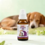 Distemper Aid Drops For Dogs – Distemper Recovery, Fever, Loss Of Appetite & Immunity Support