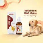 Heat Aid Drops for Pets – Heat Stress & Overheating Relief for Animals