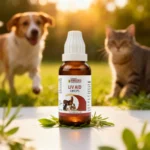 Liv Aid Drops For All Animals – Liver Disorders, Poor Appetite, Jaundice & Liver Health Support