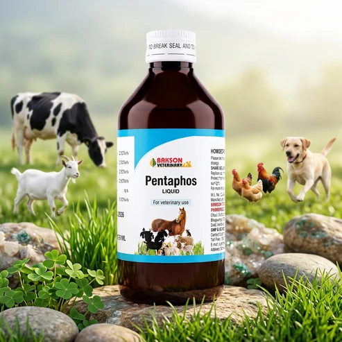 Pentaphos_new PentaPhos Liquid For All Animals – Weakness, Stress, Poor Growth & Nutritional Support - Image 1