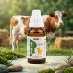 Udder Care Drops For Cattle – Udder Swelling, Inflammation, Pain & Udder Health Support