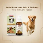 V11 Drops for Dogs & Cats – Joint Mobility, Flexibility & Comfort Support