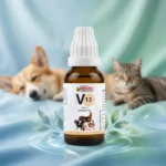 V13 Drops for Dogs – Urinary Comfort & General Wellness Support