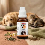 V19 Colic Drops For Dogs, Cats & Livestock – Colic Pain, Abdominal Cramps, Bloating & Digestive Support