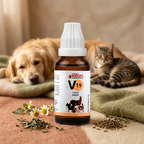 V19_New V19 Colic Drops For Dogs, Cats & Livestock – Colic Pain, Abdominal Cramps, Bloating & Digestive Support - Image 1