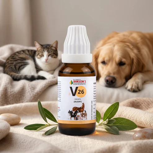 V26_New V26 Injury Drops For Dogs & Cats – Wounds, Sprains, Fractures, Bruises & Injury Recovery Support - Image 1