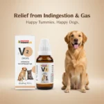 V2 Stomach Drops for Pets – Indigestion, Gas & Gastritis Relief