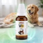 V34 Drops for Dogs & Cats – Glandular Health & General Wellness Support