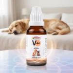 V44 Drops for Dogs & Cats – Calmness, Comfort & General Wellness Support