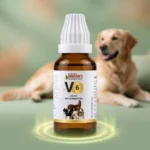 V6 Inflammation Drops For All Animals – Inflammation, Swelling, Glandular Infections & Joint Pain Support