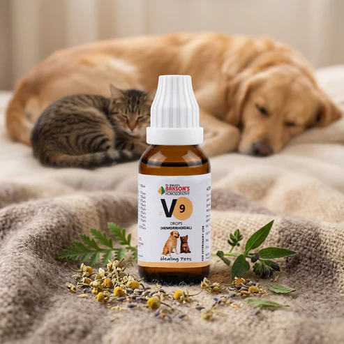 V9-New_1 V9 Hemorrhoidal Drops For Dogs & Cats – Hemorrhoids, Anal Fissures, Pain, Itching & Bleeding Relief - Image 1