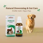 Worm Aid Drops for Pets – Natural Deworming & Intestinal Worm Relief